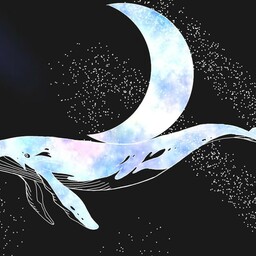 クジラの背中