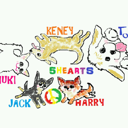 5hearts