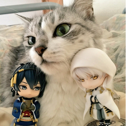 Miya