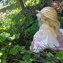 モリモリゴハン