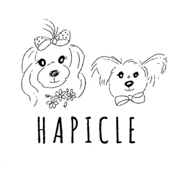 HAPICLE