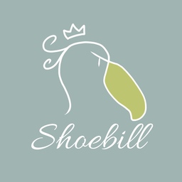 Shoebill