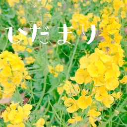 ひだまり