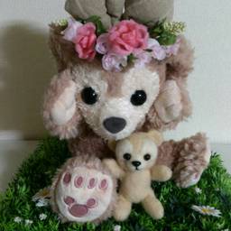 Wild Animal Craft