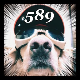 589