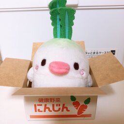 なんとかなれ生命