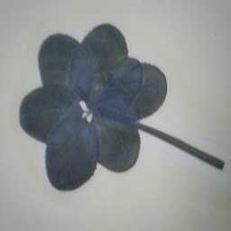 seven-a-leaf