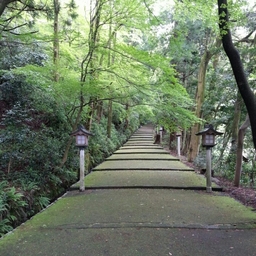 縁-enishi-
