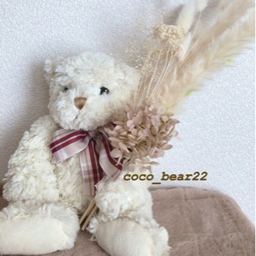 coco_bear