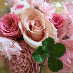 clover103