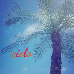 cielo