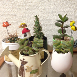 SecretGarden