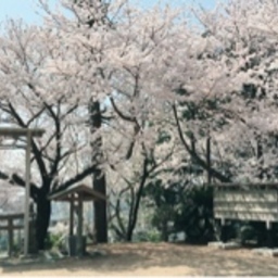 parinnco