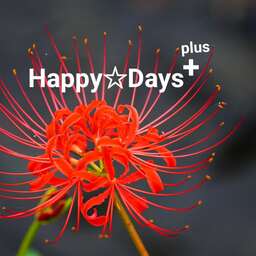 Happy☆Days+