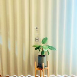 よっち　H＋Y
