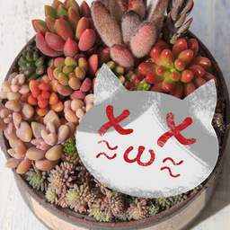 Nukotama