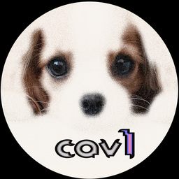 cav1