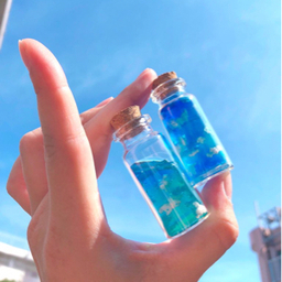 Sky  Store