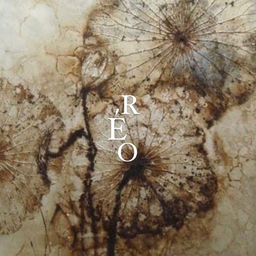 reo.nail