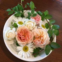 FloriaFlowers