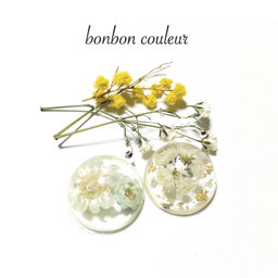 bonbon○couleur