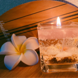 aloha-piki