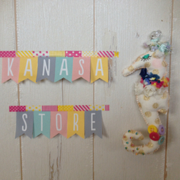 kanasa store
