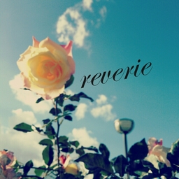 reverie