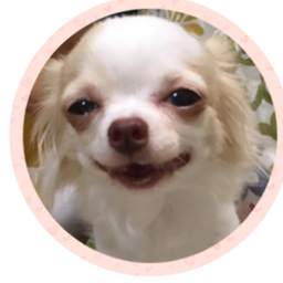 ゆんず