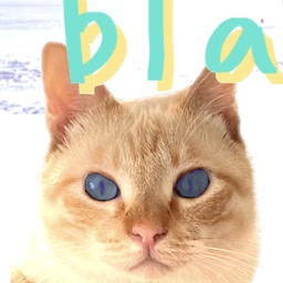blanc new plan