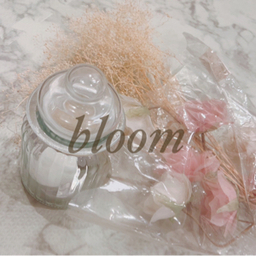 bloom -saku