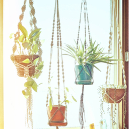 Wind Garden 