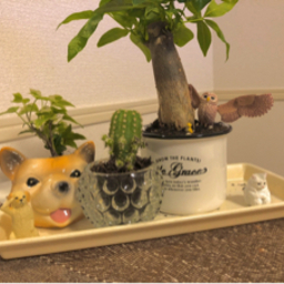 ピッコロ