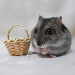 動物のかご屋さん