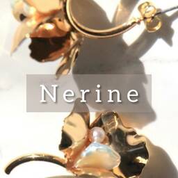Nerine