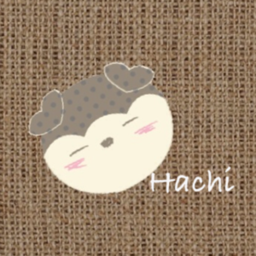 Hachi＊punctata