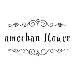 amechan flower