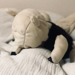 霧のむこうのふしぎな町