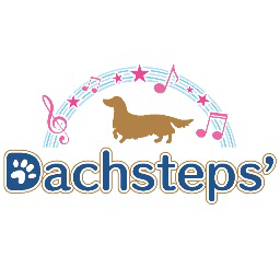 Dachsteps’