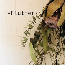 -Flutter-