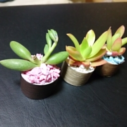 nenechandoko