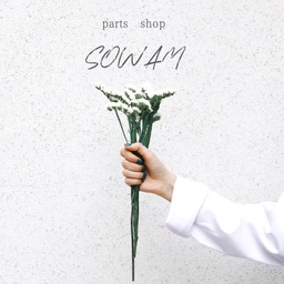 SOWAM