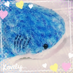 もんた
