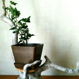 @woodworking