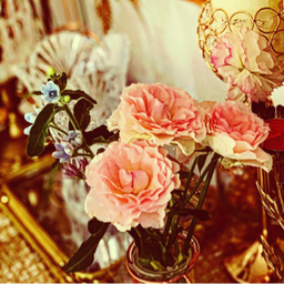 divacouture