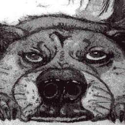 inuinub729