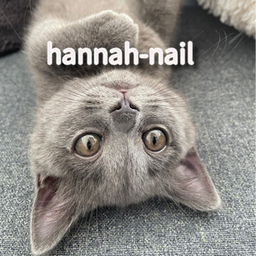 hannah-nail
