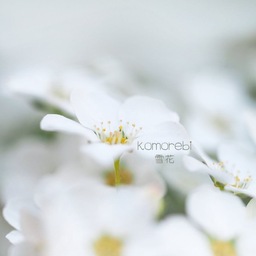 komorebi工房　＊雪花＊