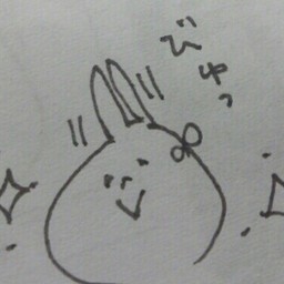 Lisao*゜