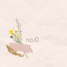 no.i0